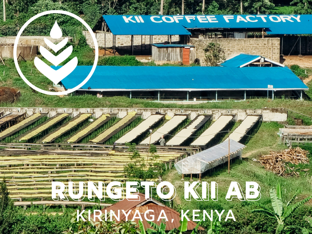 RUNGETO KII AB