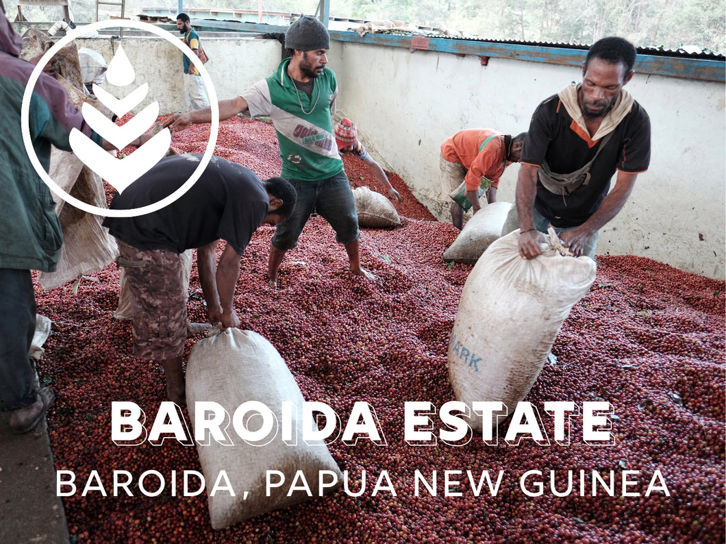 BAROIDA ESTATE