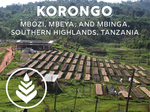 KORONGO