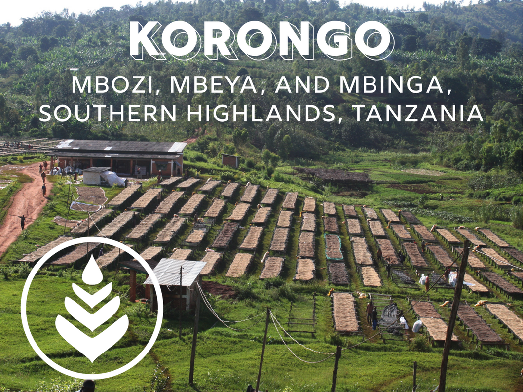 KORONGO