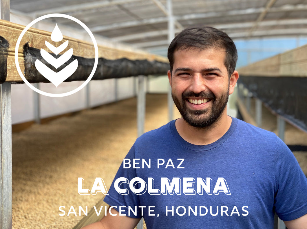 LA COLMENA