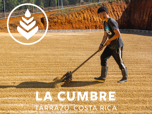 LA CUMBRE