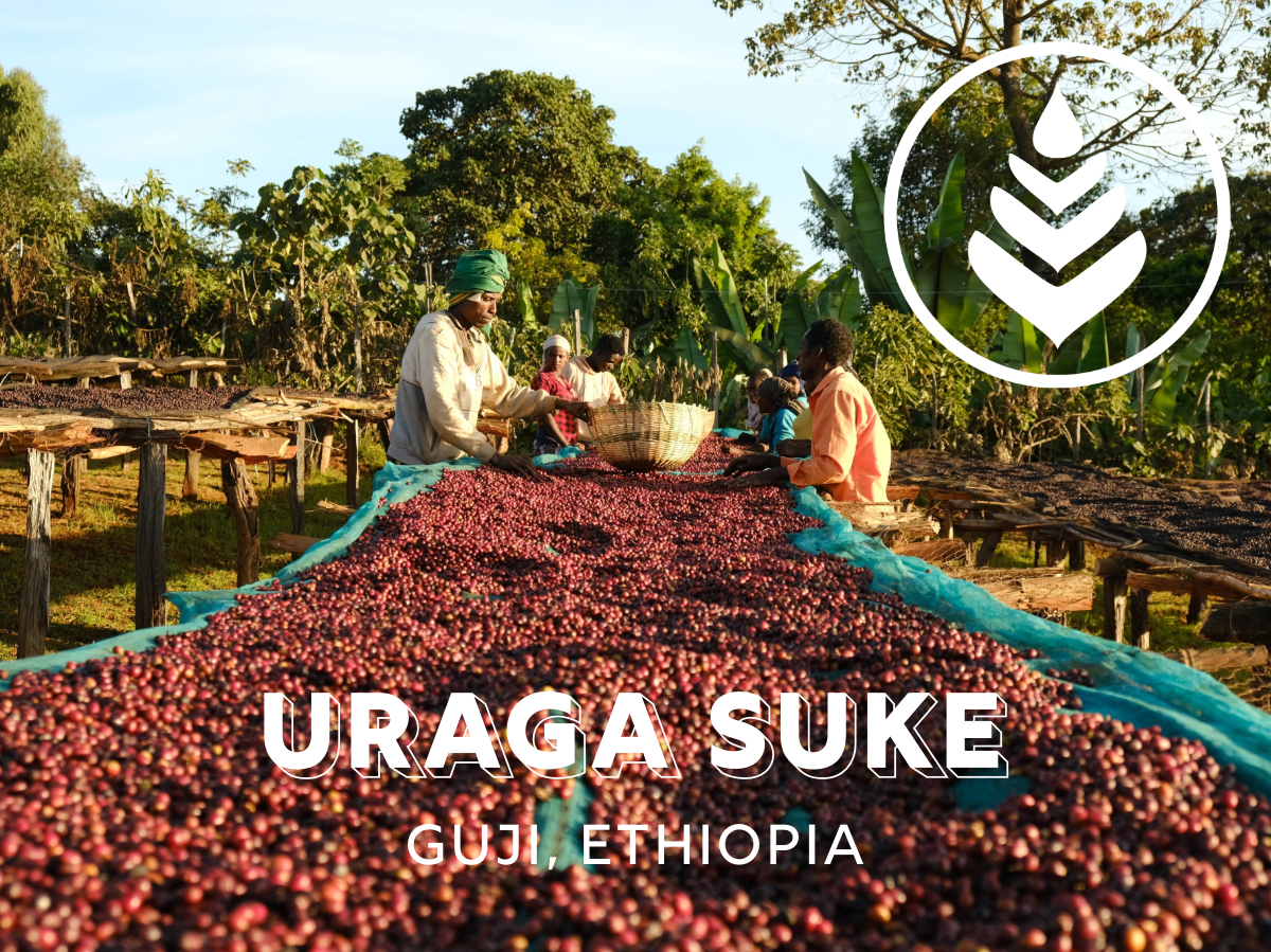 Bekor qilingan qin bilan porno